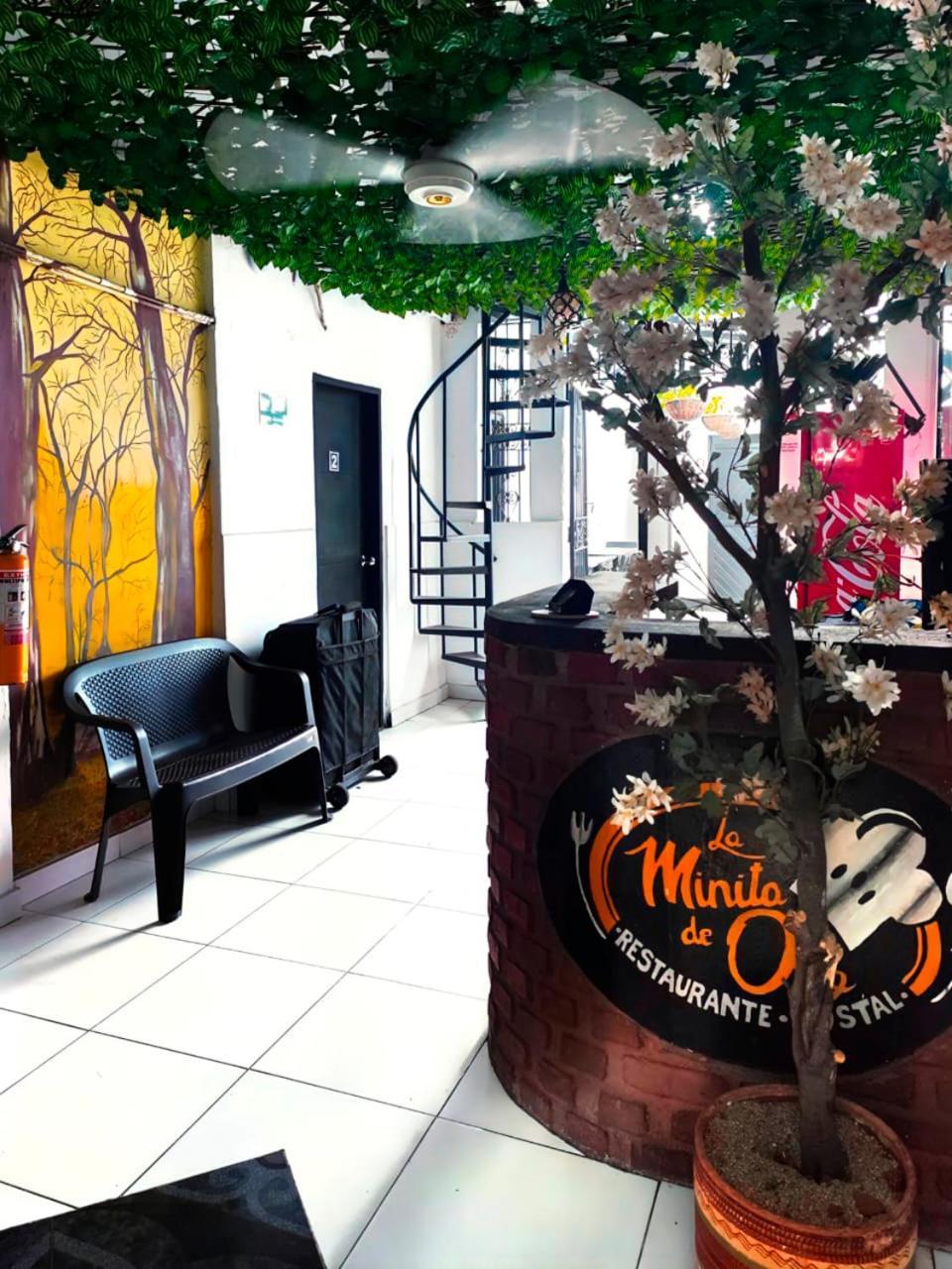 Hostal La Minita De Oro Santa Marta  Extérieur photo